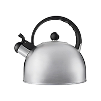 Imusa Tea Kettle SS